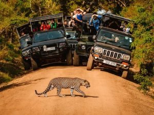 Sri Lanka Tour Package 7 Days