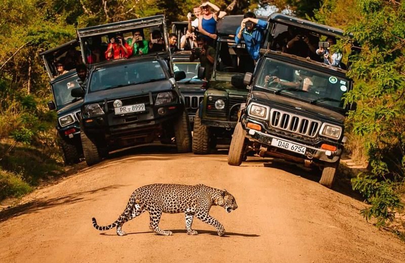 Sri Lanka Tour Package 7 Days