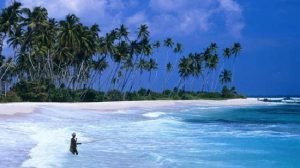 Sri Lanka Holiday Package 8 Days